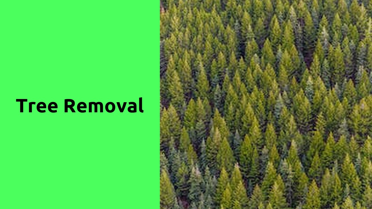 Tree Removal