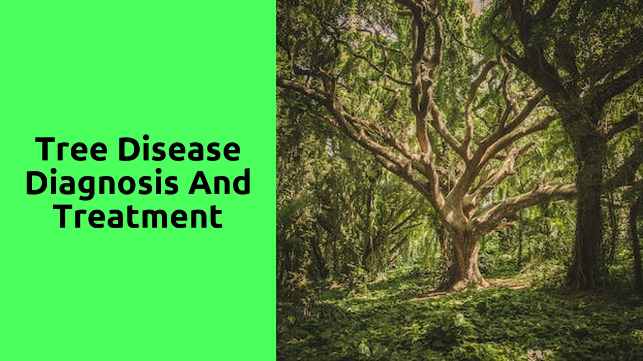 Tree Disease Diagnosis and Treatment